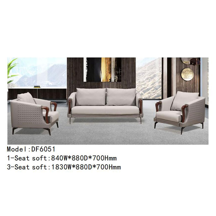 DF6051 - 造型独特 时尚沙发